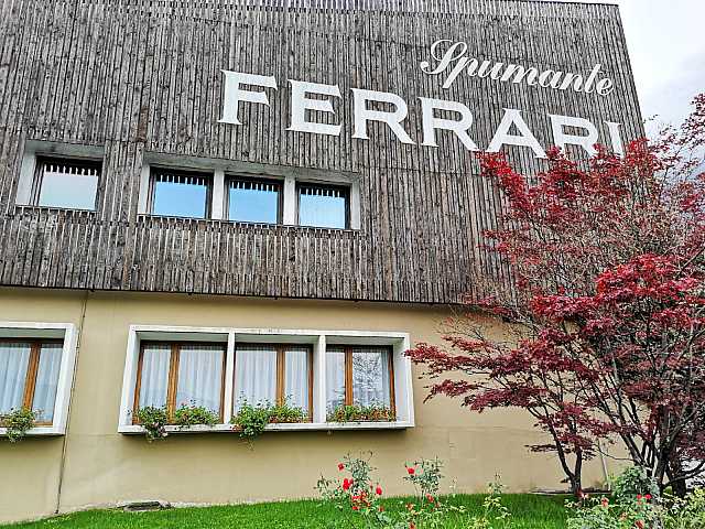 IN PRESENZA
Visita alle Cantine Ferrari e incontro con Matteo Lunelli, già Leader del Futuro (2003-2006): da impresa familiare a simbolo di eccellenza italiana nel mondo